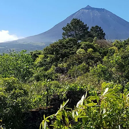 Alojamento de Acomodação e Pequeno-almoço Vila Holanda Santo Antonio (Pico Island)