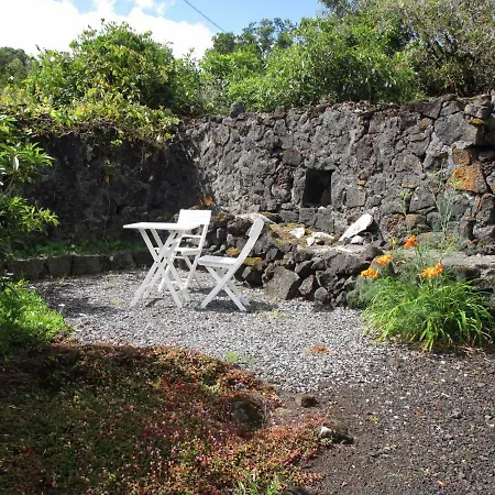 Bed & Breakfast Vila Holanda *
