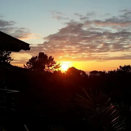 Vila Holanda Bed & Breakfast *